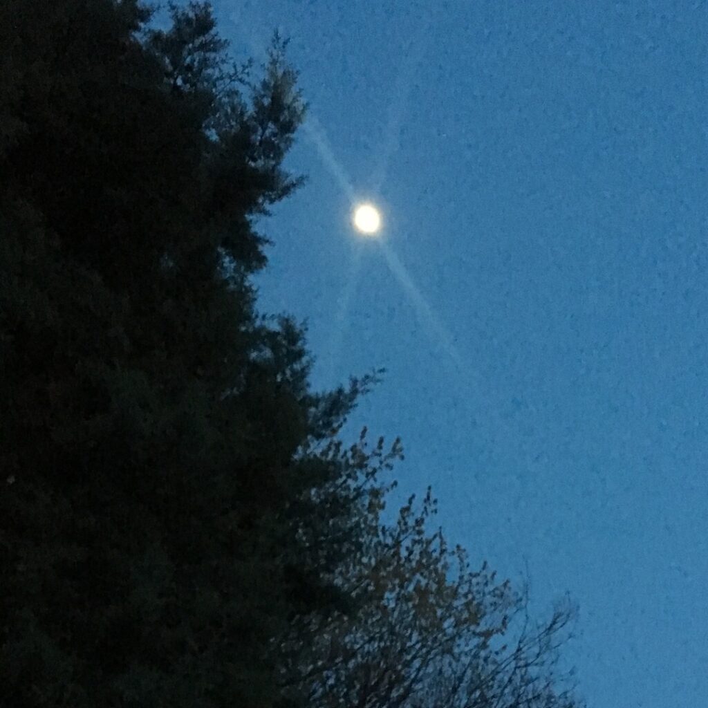 artworks 2pFjGvCEcx9AtgEp 5mKszg t1080x1080