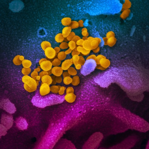 artworks Uy81IsKbP9ovivZv IP7k8Q t500x500